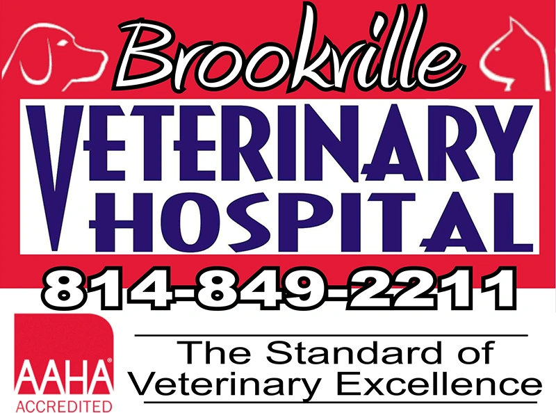 Brookville Veterinary Hospital