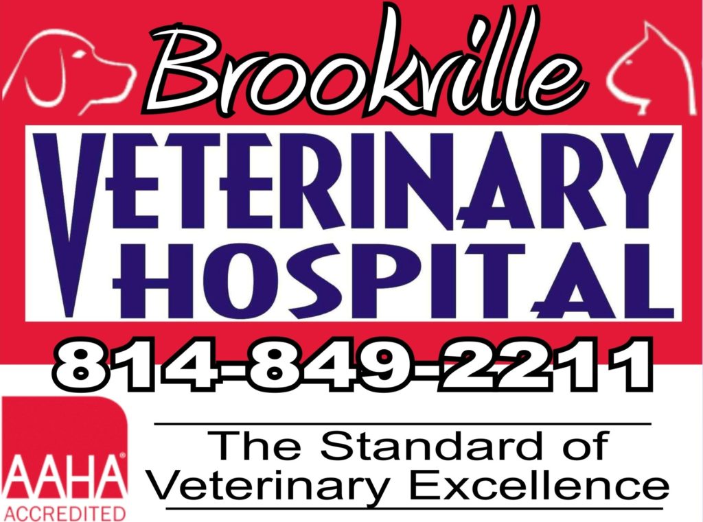 Brookville Veterinary Hospital