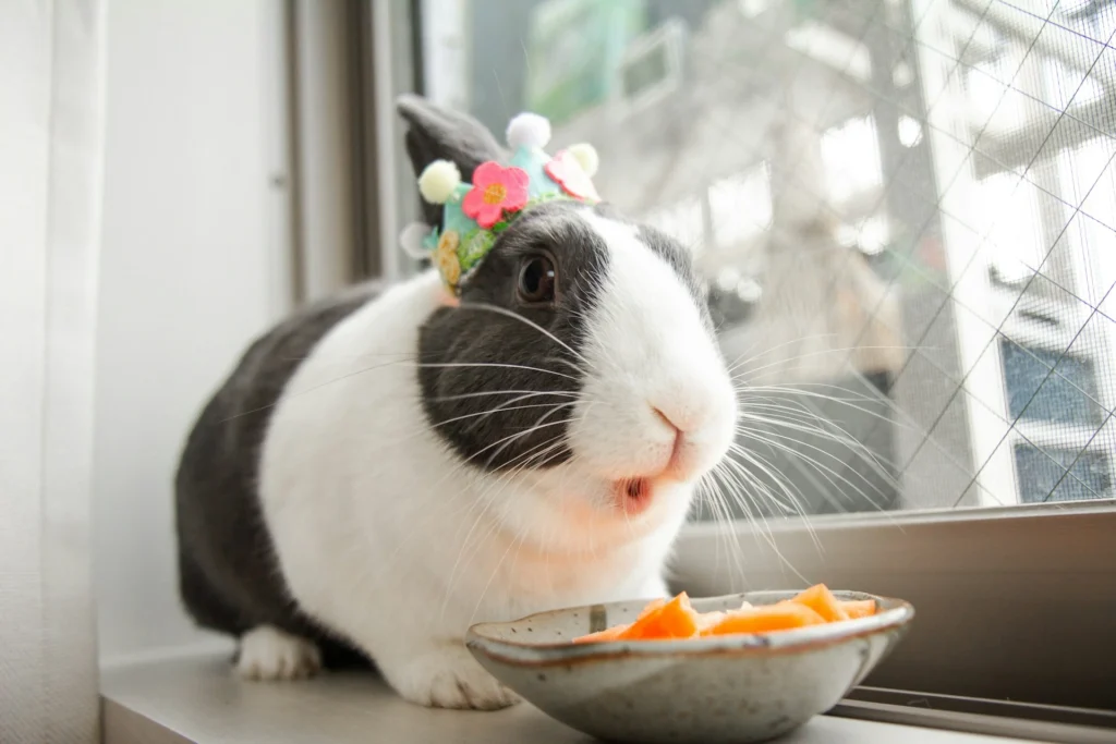A rabbit wearing a flower crown sits on a windowsill while eating carrots from a bowl.